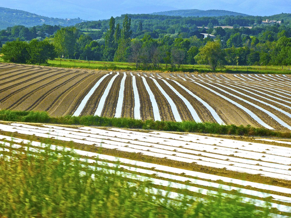 Polizza tutela agricola