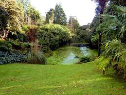 Risparmiare acqua in giardino